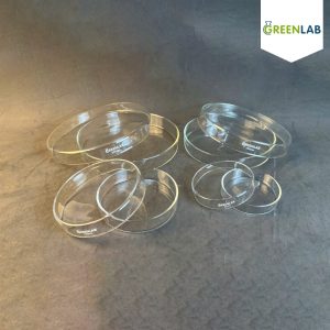 đĩa petri thuỷ tinh hãng GreenLab